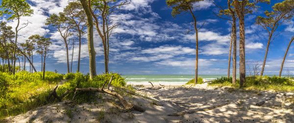 WESTSTRAND-_F2A4653