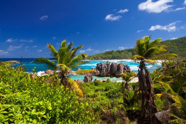 SEYCHELLEN-FERN166