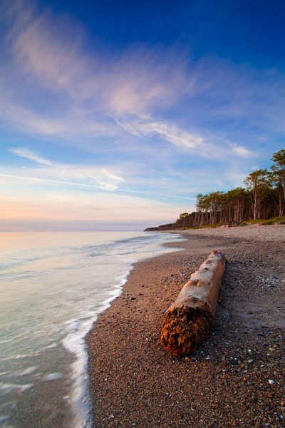 WESTSTRAND-DAR8