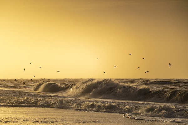 WATTENMEER-SYLT5