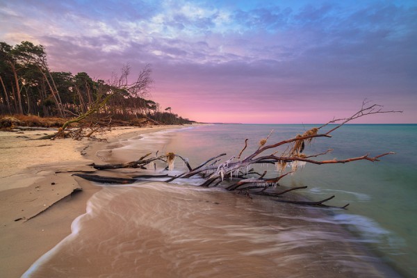WESTSTRAND-ID3B1571