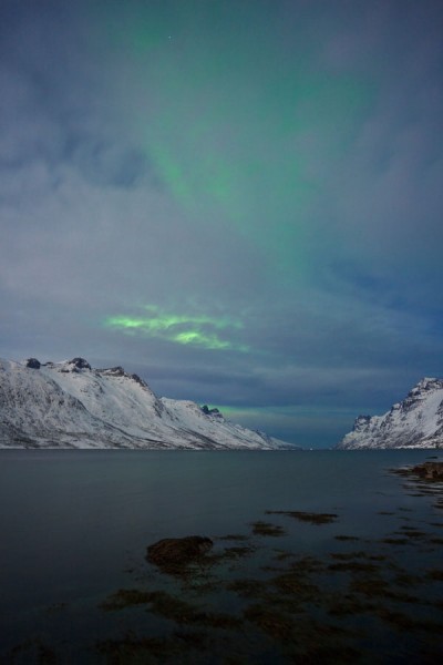 NORWEGEN-FERN73