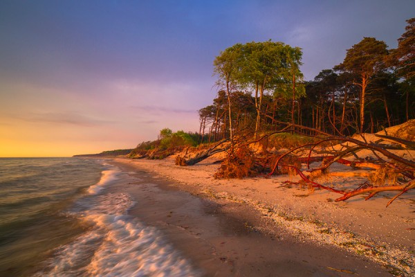 WESTSTRAND-ID3B2300