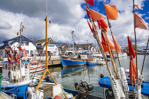 HIDDENSEE-0G1A9751