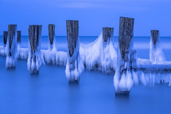 ZINGST-ID3B1591