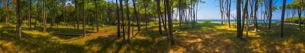 WESTSTRAND-PANO59