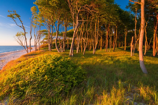 WESTSTRAND-ID3B2340