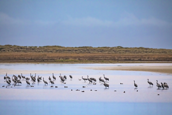 PRAMORTNORDSTRAND-0G1A9559