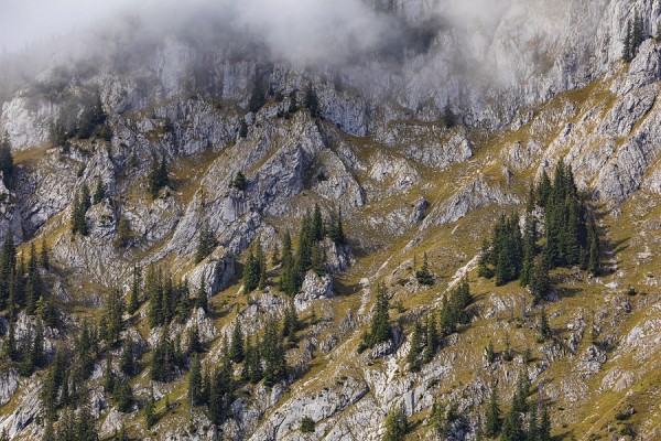 OESTERREICH-0G1A9397