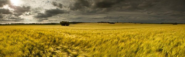 UMLAND-PANO15