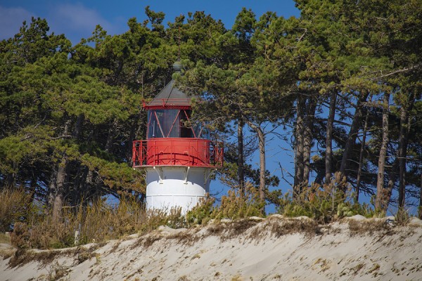 HIDDENSEE-0G1A9861
