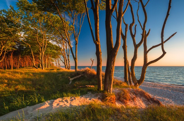 WESTSTRAND-ID3B2342