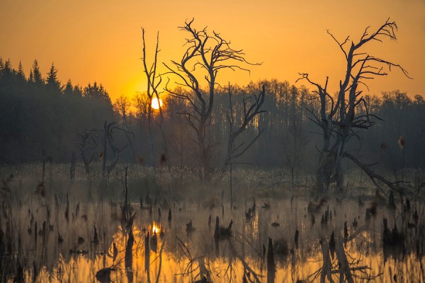 NATIONALPARK-MUE58