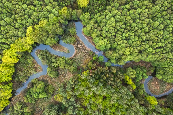 DIVERSES-DJI_0646