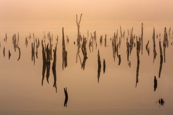 NATIONALPARK-ID3B2033