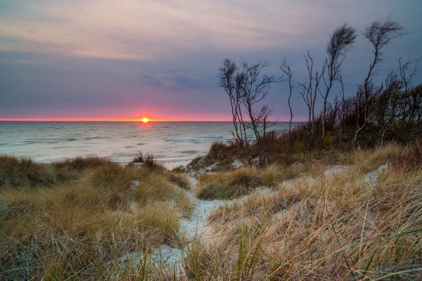 WESTSTRAND-DAR133