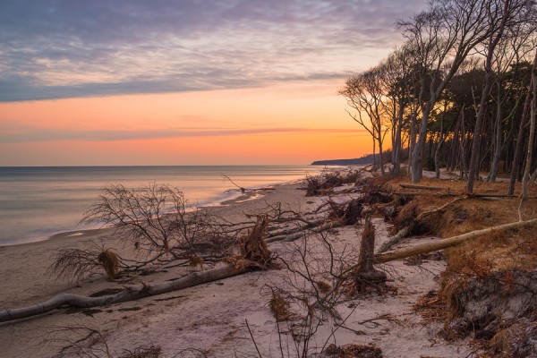 WESTSTRAND-ID3B1555