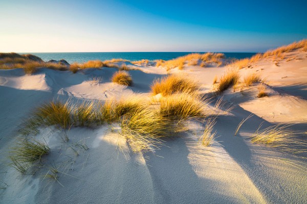 PRAMORTNORDSTRAND-DAR60