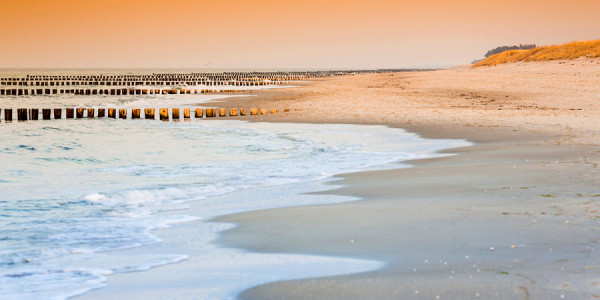 ZINGST-DAR66
